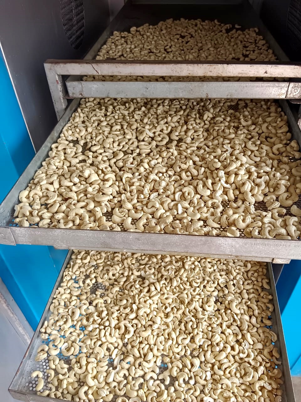 ಗೋಡಂಬಿ ಒಣಗಿಸುವ ಯಂತ್ರ