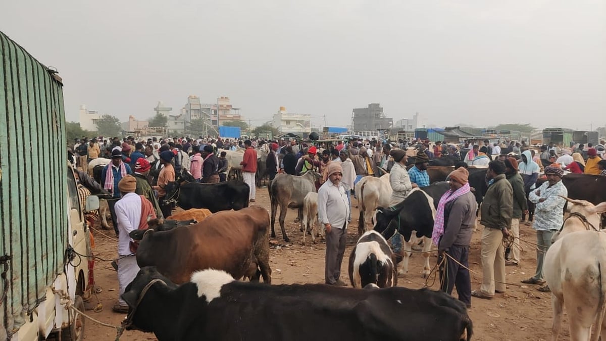 ಗೋ ರಕ್ಷಣೆ ಹೆಸರಲ್ಲಿ ರೈತರಿಗೆ ತೊಂದರೆ ಆರೋಪ: ಜಾನುವಾರು ವ್ಯಾಪಾರಕ್ಕೆ ಕುತ್ತು