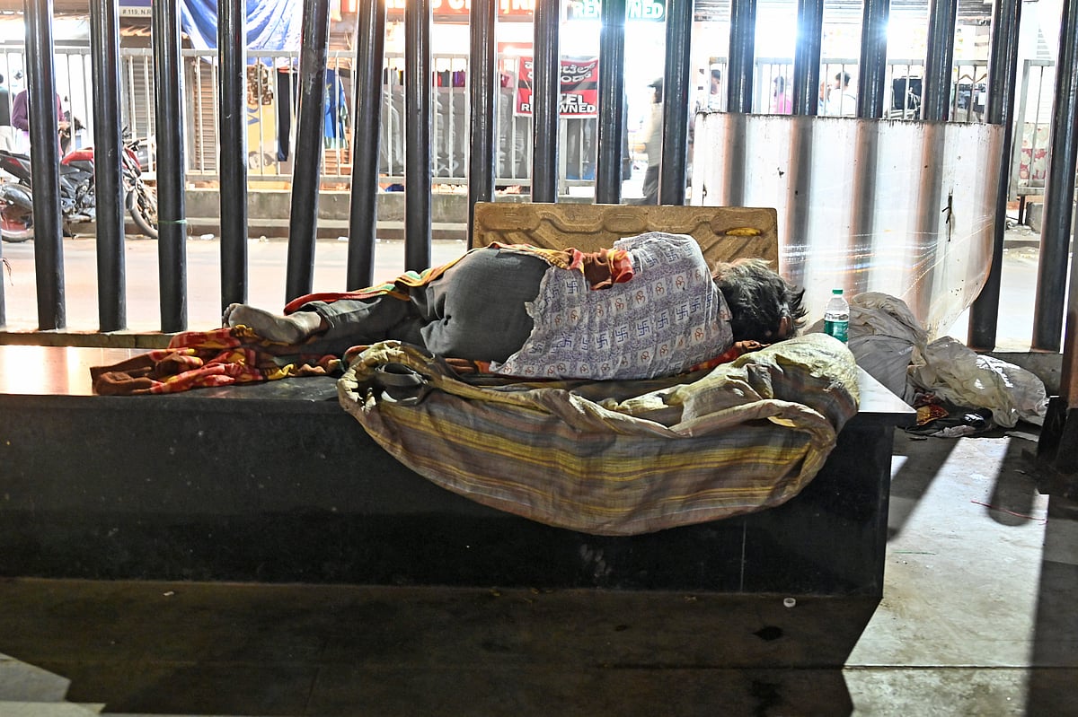 ತಾಪಮಾನ ಕುಸಿತ, ಕಳಪೆ ಆಹಾರ–ನೀರು ಸೇವನೆ: ರಸ್ತೆಬದಿಯಲ್ಲೇ ನಲುಗುತ್ತಿವೆ ಜೀವಗಳು..