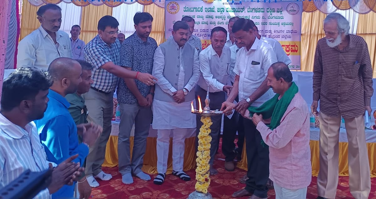 ಮಾವು ಬೆಳೆ ನಷ್ಟ | ಬೆಂಬಲ ಬೆಲೆಗೆ ಕ್ರಮ: ಬಿ.ಸಿ.ಮುದ್ದು ಗಂಗಾಧರ್ ಭರವಸೆ