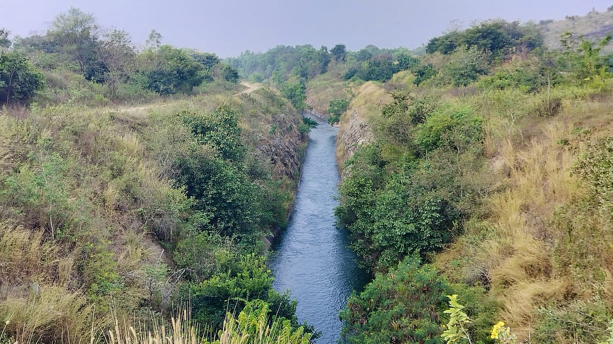 ಹೇಮಾವತಿ ಎಡದಂಡೆ ನಾಲೆಗಿಲ್ಲ ತಡೆಗೋಡೆ! 