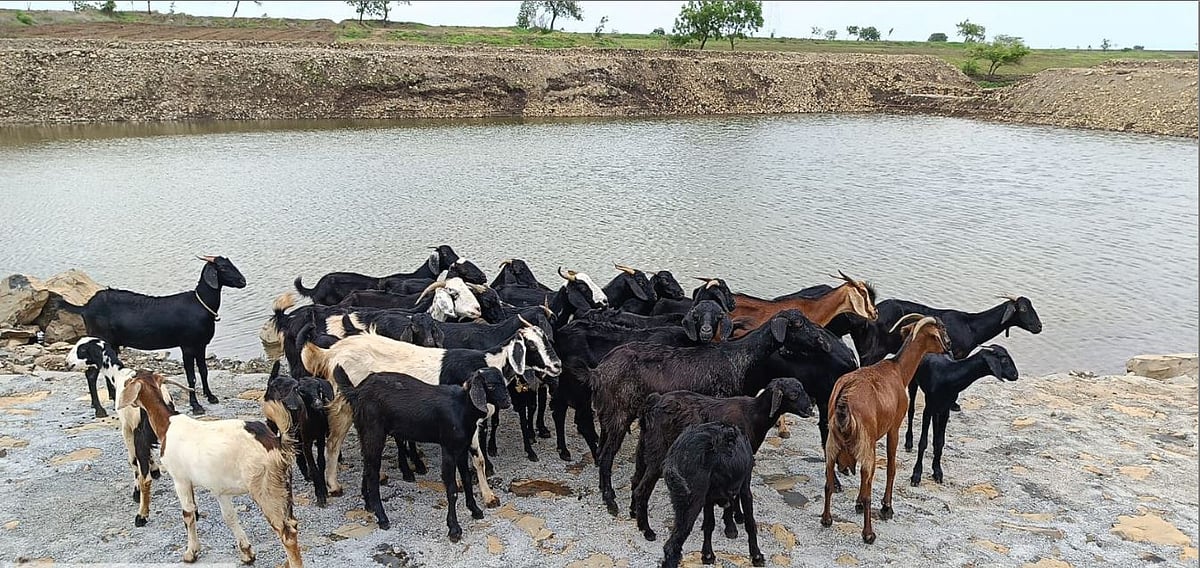 ಕಲಬುರಗಿ: ನೀರು, ಮಣ್ಣಿನ ಸಂರಕ್ಷಣೆಗೆ ‘ರಿವಾರ್ಡ್‌’