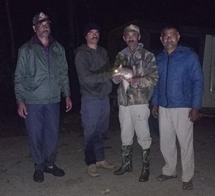 ಸಿದ್ದಾಪುರ: ಚಿಕ್ಲಿಹೊಳೆಯಲ್ಲಿ ಇಲಿ ಜಿಂಕೆ ರಕ್ಷಣೆ