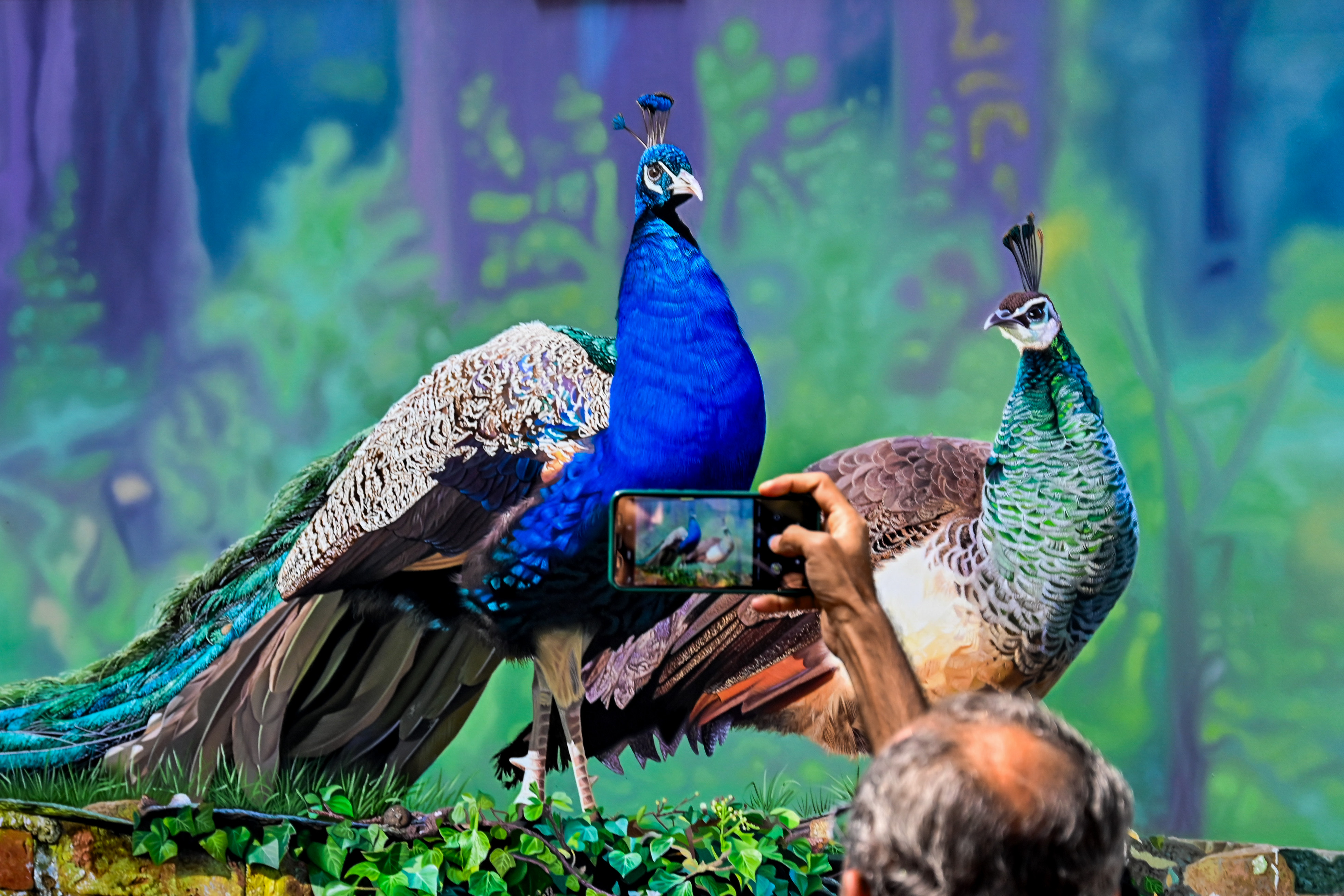 ಕಲಾವಿದ ಭರಣಿ ಧರಣ್‌ ಅವರು ತೈಲವರ್ಣದಲ್ಲಿ ರಚಿಸಿದ ₹ 1 ಲಕ್ಷ ಬೆಲೆಯ ನವಿಲುಗಳ ಕಲಾಕೃತಿಯನ್ನು ಸಾರ್ವಜನಿಕರೊಬ್ಬರು ಮೊಬೈಲ್‌ನಲ್ಲಿ ಫೋಟೊ ಸೆರೆಹಿಡಿದರು
ಪ್ರಜಾವಾಣಿ ಚಿತ್ರ: ಪುಷ್ಕರ್‌ ವಿ.