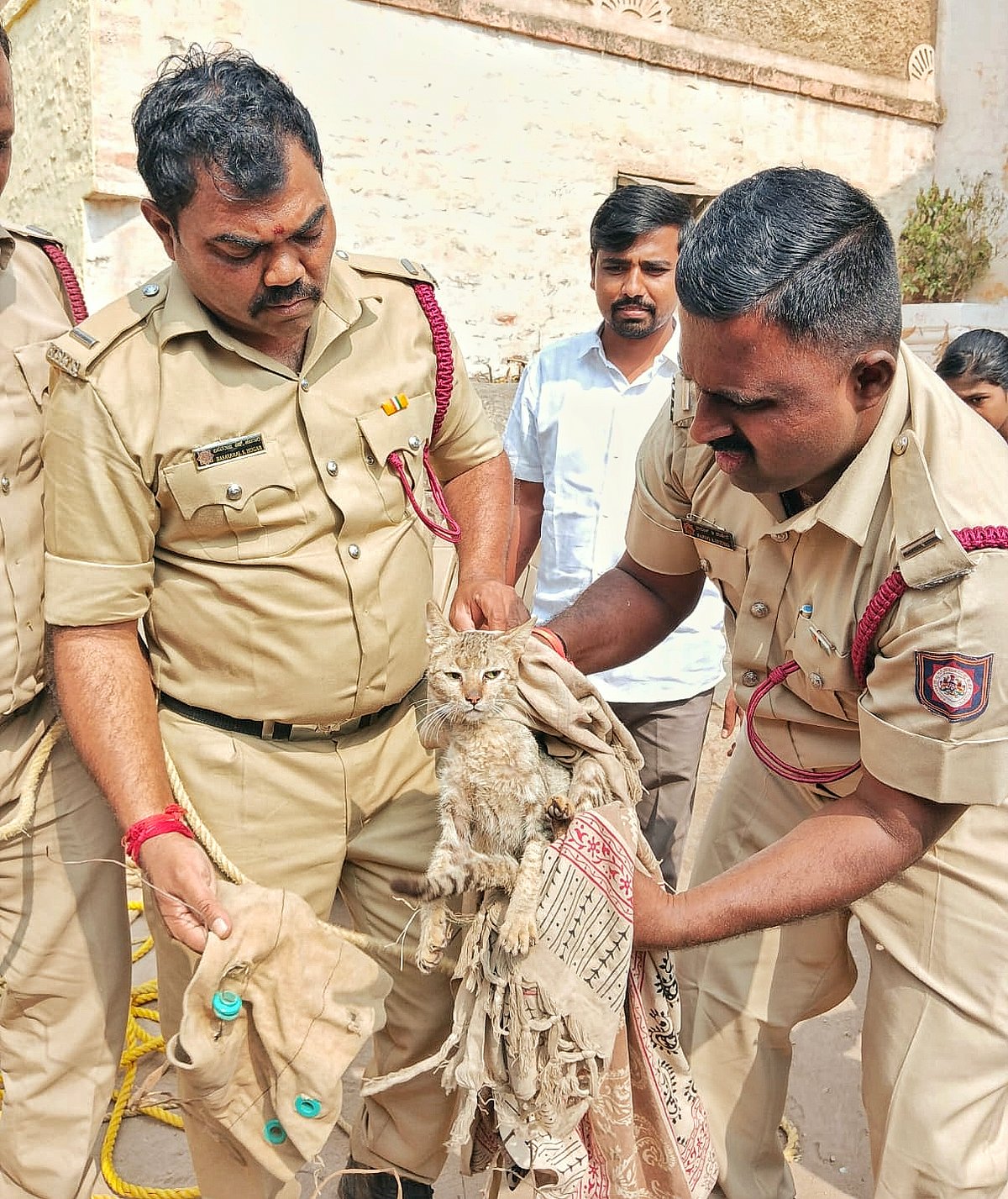 ಬೀಳಗಿ: ಬೆಕ್ಕು ರಕ್ಷಿಸಿದ ಅಗ್ನಿಶಾಮಕ ಸಿಬ್ಬಂದಿ