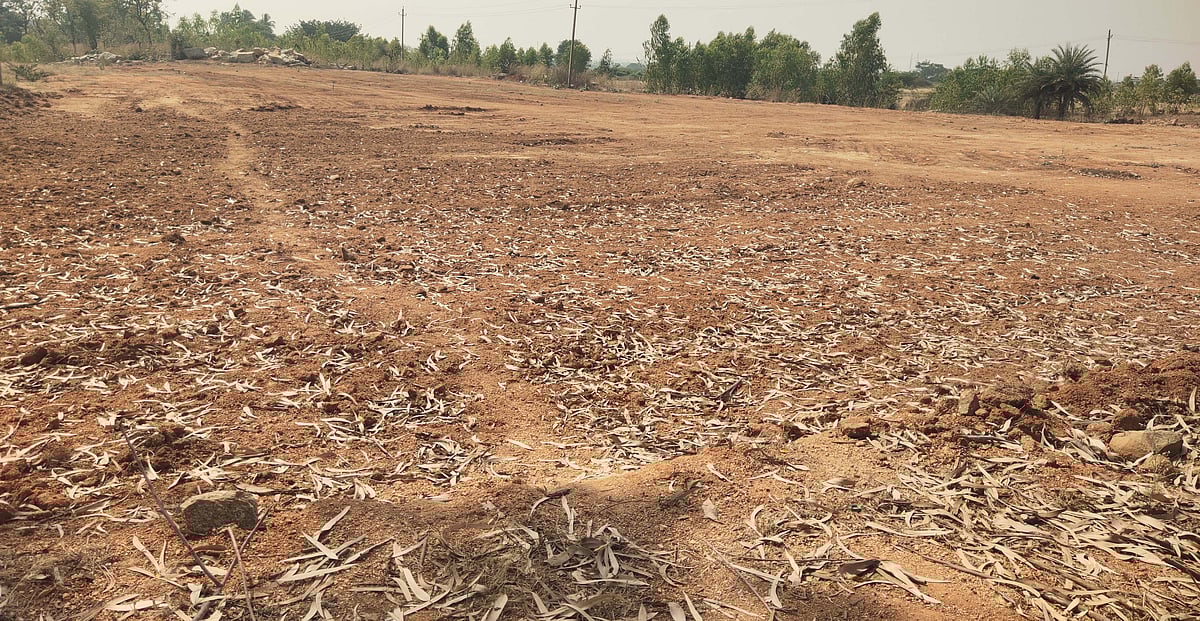 ಬಾಗೇಪಲ್ಲಿ: ಬಾಡಿಗೆ ಮನೆಯಲ್ಲಿ ವಾಸ; ಸಿಕ್ಕಿಲ್ಲ ನಿವೇಶನ ಭಾಗ್ಯ