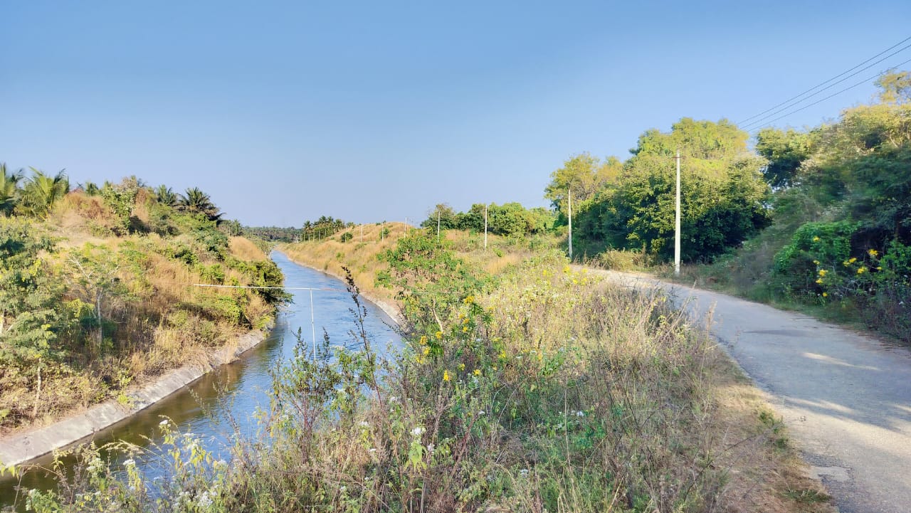 ಸಂತೇಬಾಚಹಳ್ಳಿ ಹೋಬಳಿಯ ಭಾರತೀಪುರಕೊಪ್ಪಲು ರಸ್ತೆಯ ಬಳಿ ಹೇಮಾವತಿ ಎಡದಂತೆ ನಾಲೆಗೆ ತಡೆಗೋಡೆ ಇಲ್ಲದ ಕಾರಣ ಅಪಾಯಕ್ಕೆ ಆಹ್ವಾನ ನೀಡುವಂತಿದೆ 