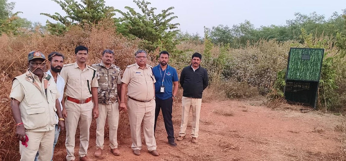 ಹುಬ್ಬಳ್ಳಿ: ಬೋನಿಗೆ ಬೀಳದ ಚಿರತೆ; ಆತಂಕದಲ್ಲಿ ಜನ 