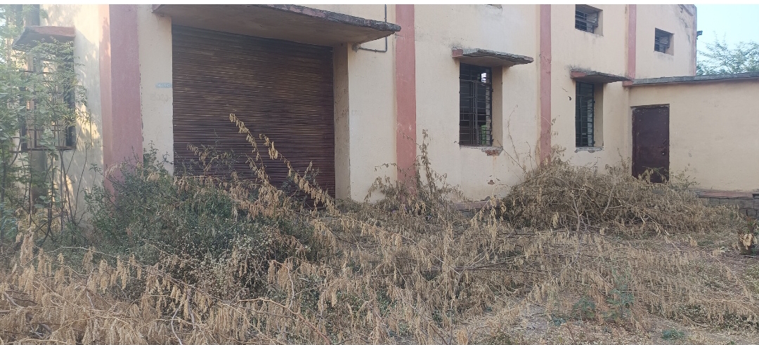 ಬಾಗಿಲ ಬಳಿ ತೆರಳಲು ಸಾಧ್ಯವಾಗದ ರೀತಿ ಬೆಳೆದಿರುವ ಮುಳ್ಳಿನ ಗಿಡಗಳು