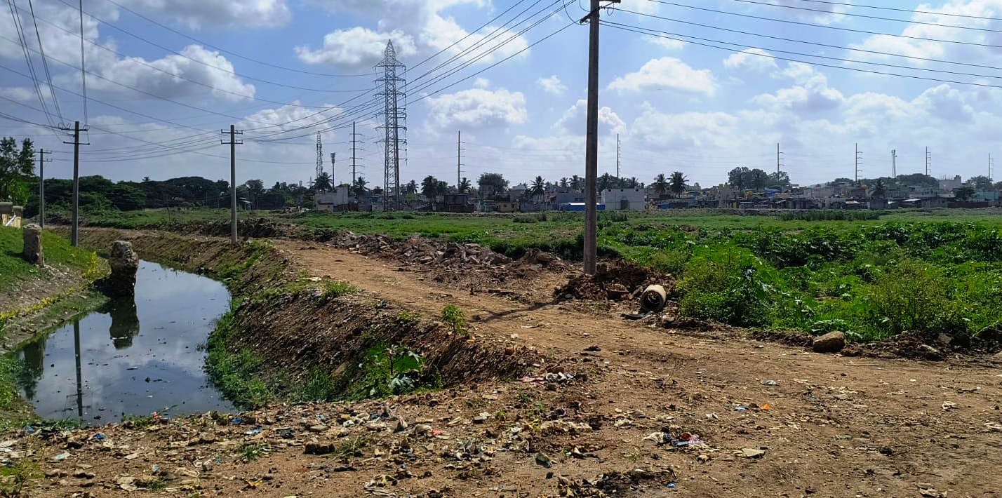 ಕೆರೆಯ ಜೋಂಡು ಕೊಳಚೆ ನೀರು ಹೊರತೆಗೆಯಲು ಕೆರೆಯ ಮಧ್ಯಭಾಗದಲ್ಲಿ ನಿರ್ಮಿಸಿದ್ದ ರಸ್ತೆ