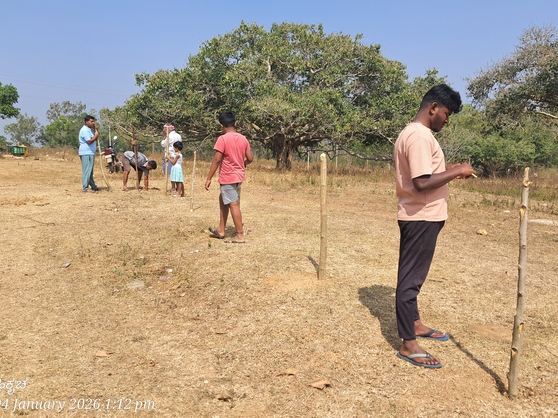 ಹಿರೀಸಾವೆ ಹೋಬಳಿಯ ಬೂಕನಬೆಟ್ಟದ ತಪ್ಪಲಿನಲ್ಲಿ ಎತ್ತುಗಳನ್ನು ಕಟ್ಟಲು ರೈತರು ದಾವಣಿಯನ್ನು ಸಿದ್ಧಪಡಿಸುತ್ತಿರುವುದು