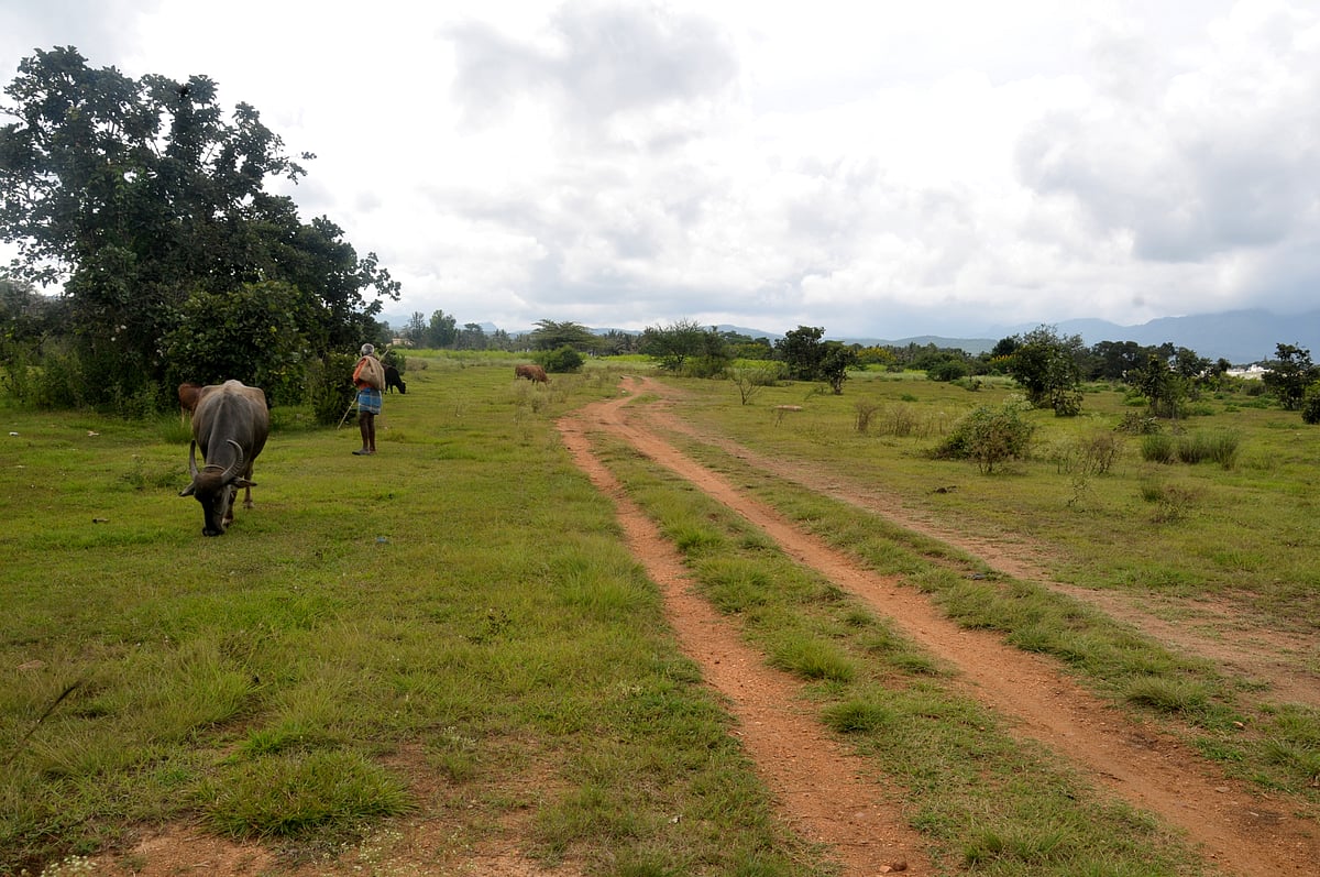 ಚಿಕ್ಕಮಗಳೂರು | ಬಜೆಟ್ ಘೋಷಣೆ: ಕಾರ್ಯರೂಪ ಯಾವಾಗ?