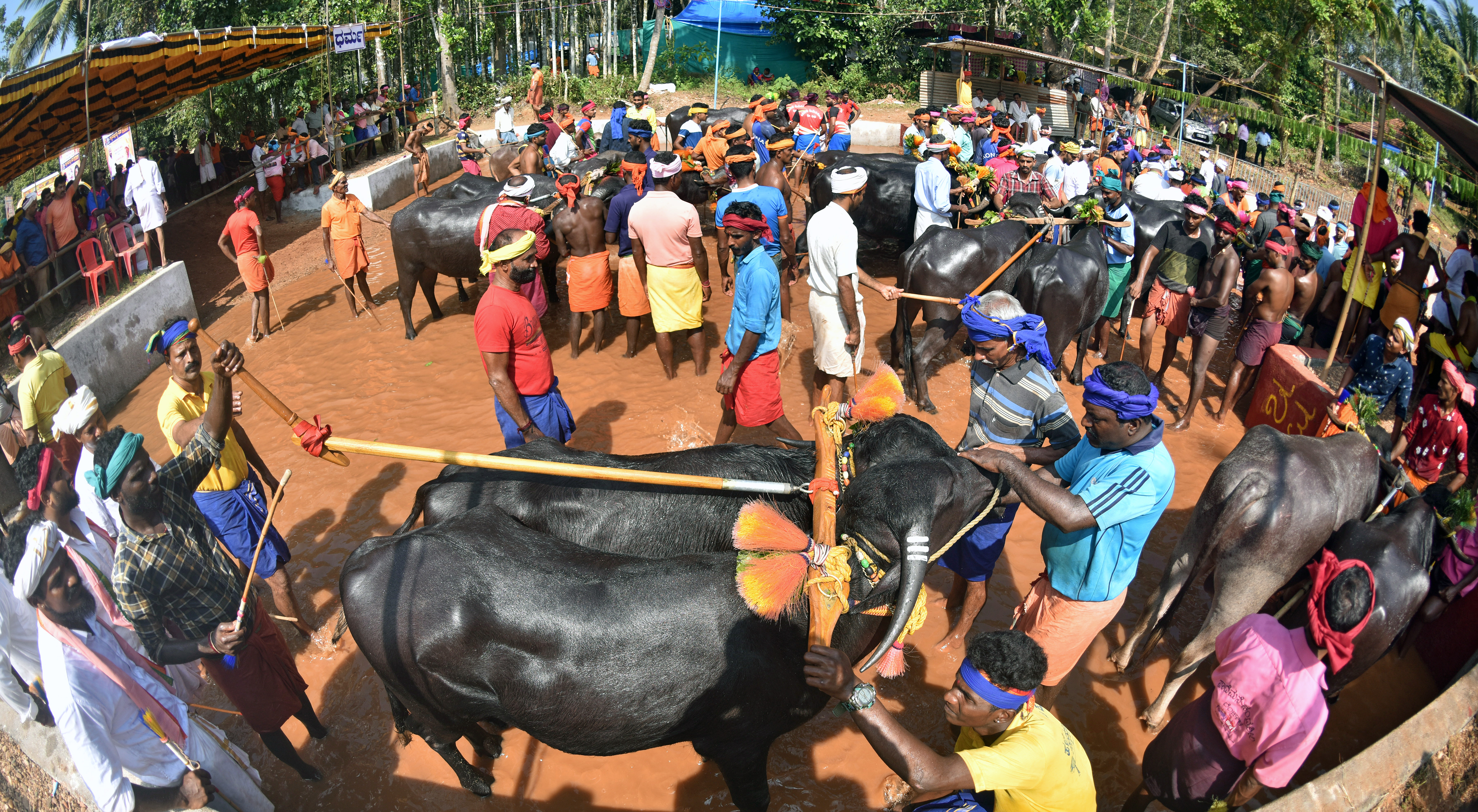 ಕಂಬಳವೆಂಬ ಜಾತ್ರೆಯಲ್ಲಿ ಗೊಂದಲಗಳು ಇಲ್ಲದಾಗಲಿ ಎಂಬುದು ಸರ್ವರ ಆಶಯ