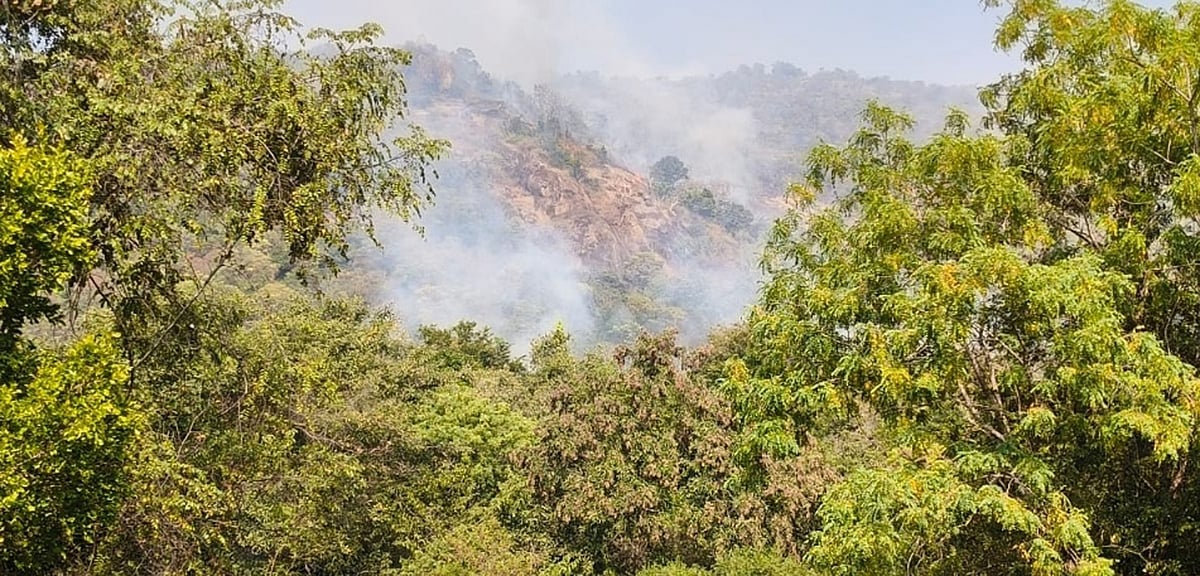 ಯಳಂದೂರು | ಕಾಡ್ಗಿಚ್ಚು ತಡೆಗೆ ಬೆಂಕಿ ರಹಿತ ಮಾರ್ಗ 