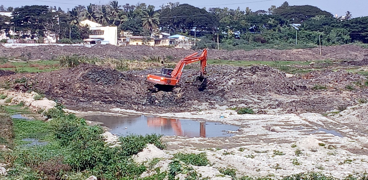 ಚನ್ನಪಟ್ಟಣ: ಶೆಟ್ಟಿಹಳ್ಳಿ ಕೆರೆ ಪುನಃಶ್ಚೇತನ ಕಾಮಗಾರಿ ಆರಂಭ