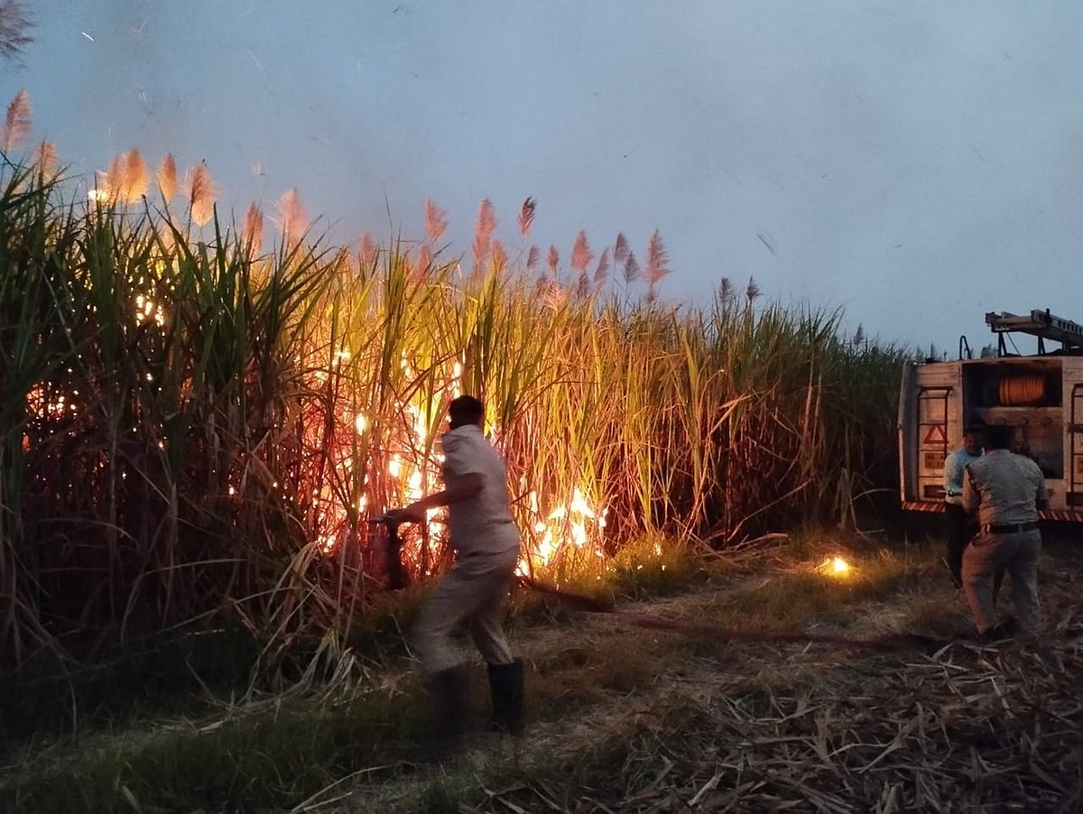 ಮುಧೋಳ: 150 ಎಕರೆ ಕಬ್ಬು ಬೆಂಕಿಗೆ ಆಹುತಿ   