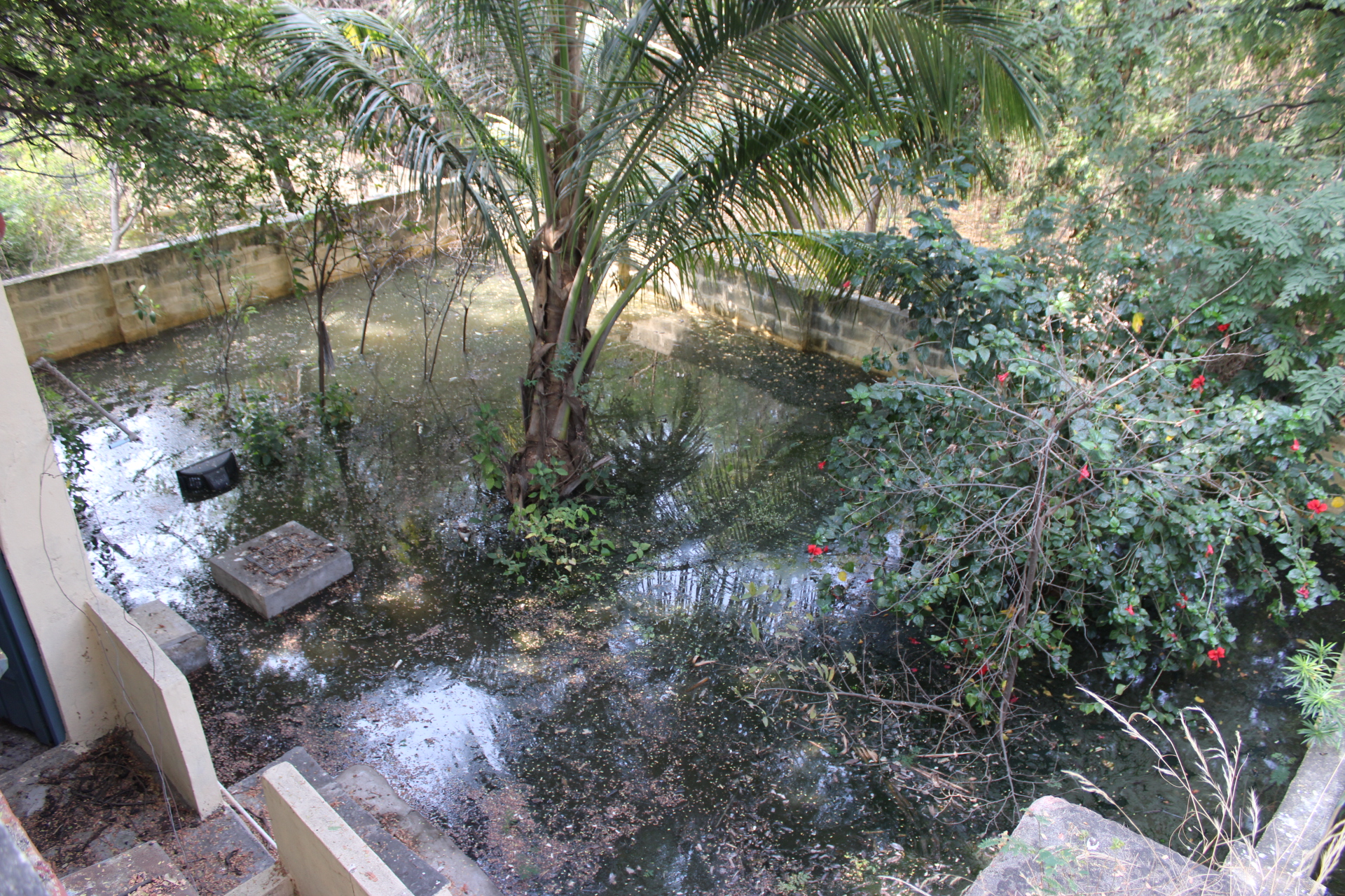 ಬಾಗಲಕೋಟೆ ಬಿಟಿಡಿಎ ಆವರಣದಲ್ಲಿರುವ ಸಿಬ್ಬಂದಿ ವಸತಿ ಗೃಹದ ಕಾಂಪೌಂಡ್‌ನೊಳಗೆ ನುಗ್ಗಿರುವ ನೀರು