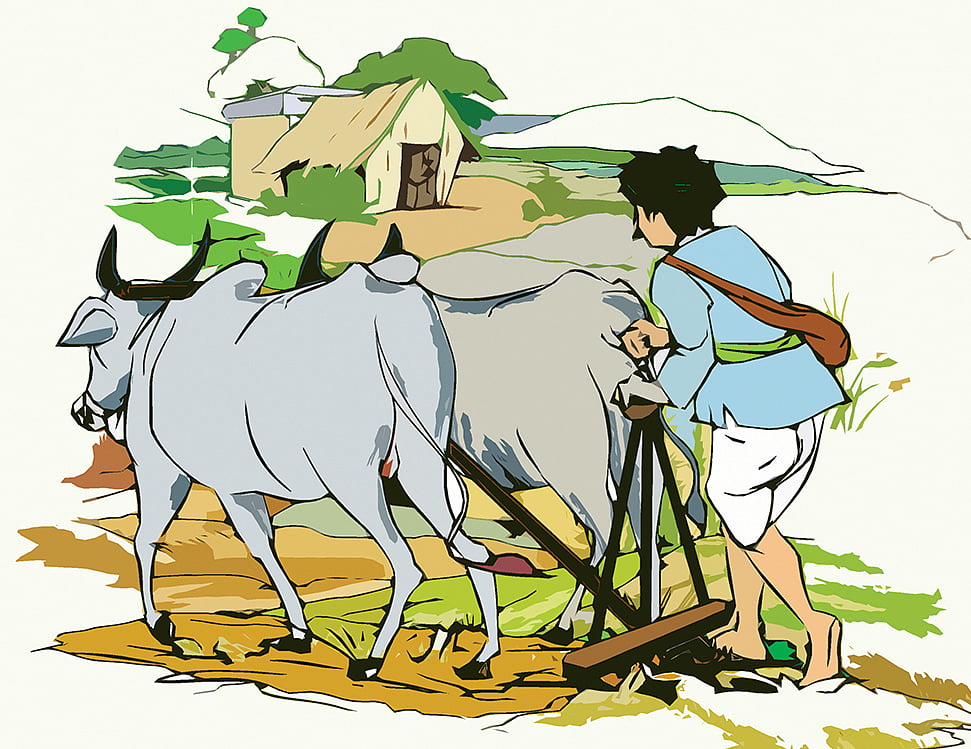 ಉತ್ತಮ ಮಳೆ– ಬೆಳೆ: ದಾವಣಗೆರೆ ಜಿಲ್ಲೆಯಲ್ಲಿ ರೈತರ ಆತ್ಮಹತ್ಯೆ ಗಣನೀಯ ಇಳಿಕೆ