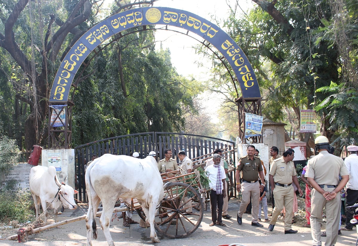 ಬಾಗಲಕೋಟೆ | ಕಬ್ಬಿನ ಗದ್ದೆಗೆ ಒಳಚರಂಡಿ ನೀರು: ರೈತರಿಂದ BTDA ಗೇಟ್‌ಗೆ ಬೀಗ