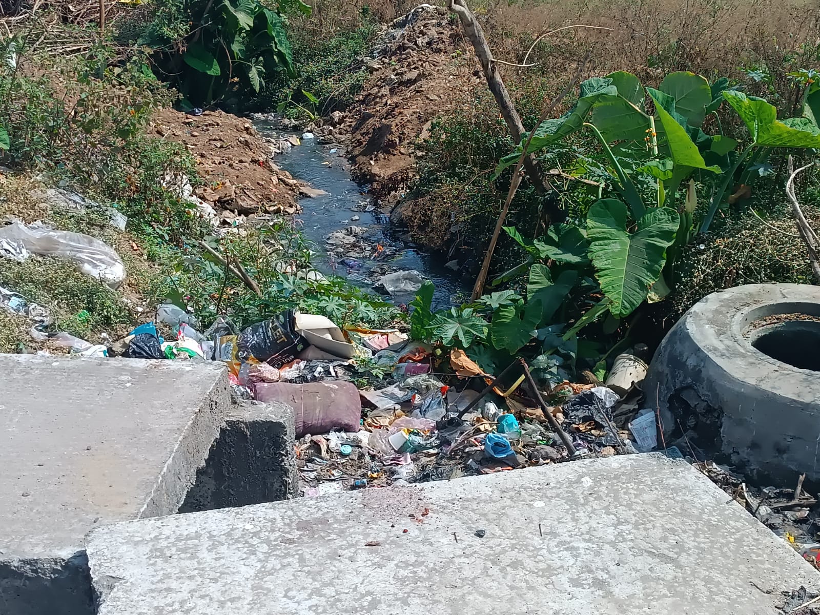 ನೀರು ಹರಿಯದಂತೆ ಚರಂಡಿಯಲ್ಲಿ ತುಂಬಿರುವ ಪ್ಲಾಸ್ಟಿಕ್ 