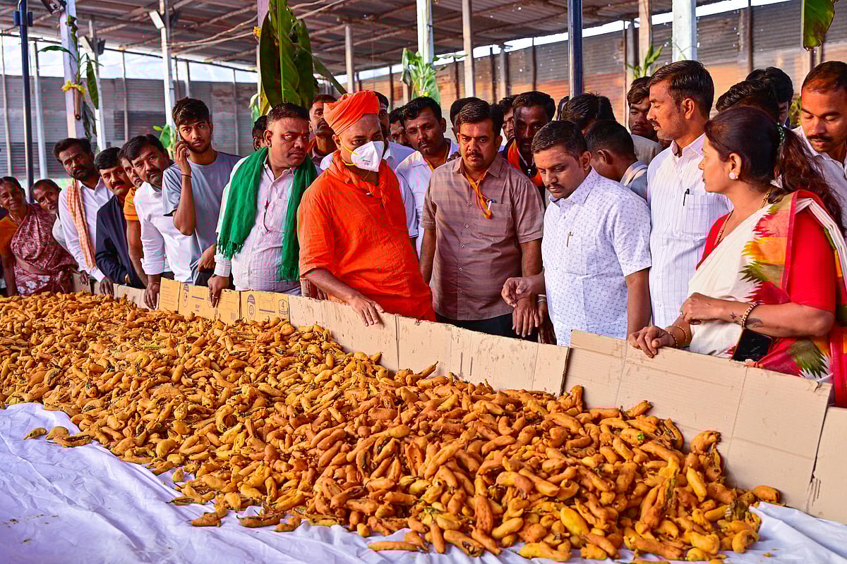 ಕೊಪ್ಪಳ ಗವಿಮಠ ಜಾತ್ರೆ: 500 ಜನರಿಂದ 6 ಲಕ್ಷ ಮಿರ್ಚಿ ತಯಾರಿ!