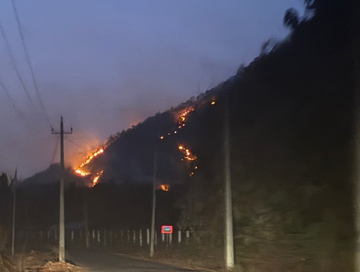 ಕಡೂರು| ಪಾದಮನೆ ಗುಡ್ಡದಲ್ಲಿ ಬೆಂಕಿ: ಹೊತ್ತಿ ಉರಿದ ಒಣಹುಲ್ಲು