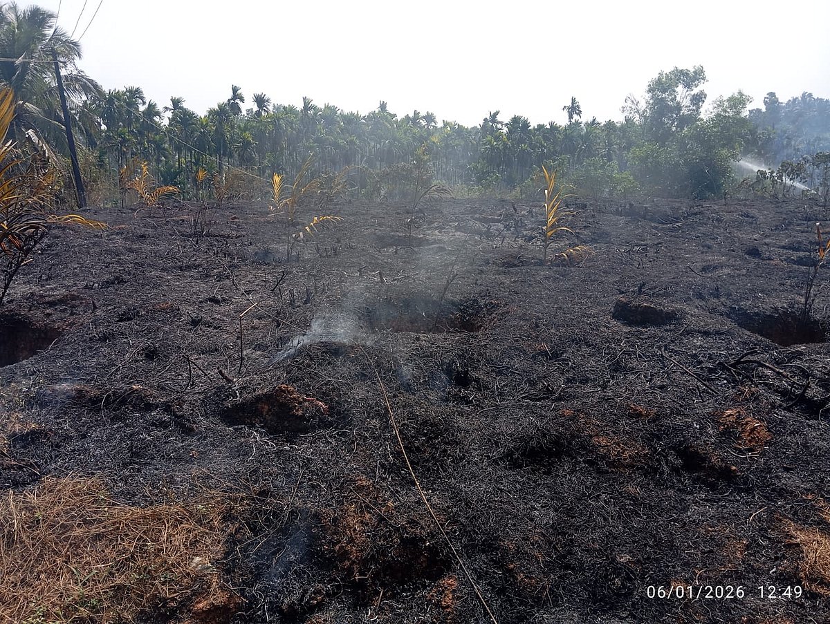 ಪುತ್ತೂರು: 3 ಎಕರೆಯಲ್ಲಿದ್ದ ಅಡಿಕೆ ಕೃಷಿ-ಗೇರು ಮರ ಬೆಂಕಿಗಾಹುತಿ