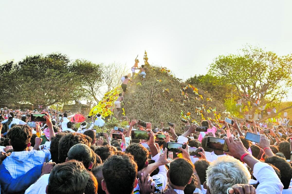 ಚಳ್ಳಕೆರೆ: ಕಾಡುಗೊಲ್ಲರ ಆರಾಧ್ಯ ದೈವ ಕ್ಯಾತಪ್ಪನ ಜಾತ್ರೆ ಸಂಭ್ರಮ