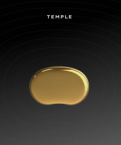 ಲೋಹದ ಸಾಧನ ಟೆಂಪಲ್ (Temple)