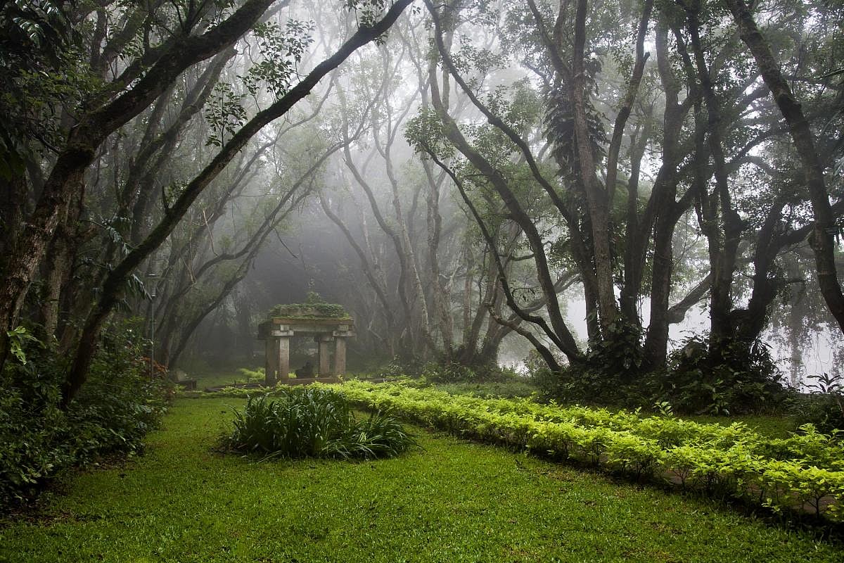 ನಂದಿ ಗಿರಿಧಾಮದತ್ತ ವಿದೇಶಿಯರ ಚಿತ್ತ; ಐದು ವರ್ಷಗಳಲ್ಲಿ 25 ಸಾವಿರ ಮಂದಿ ಭೇಟಿ