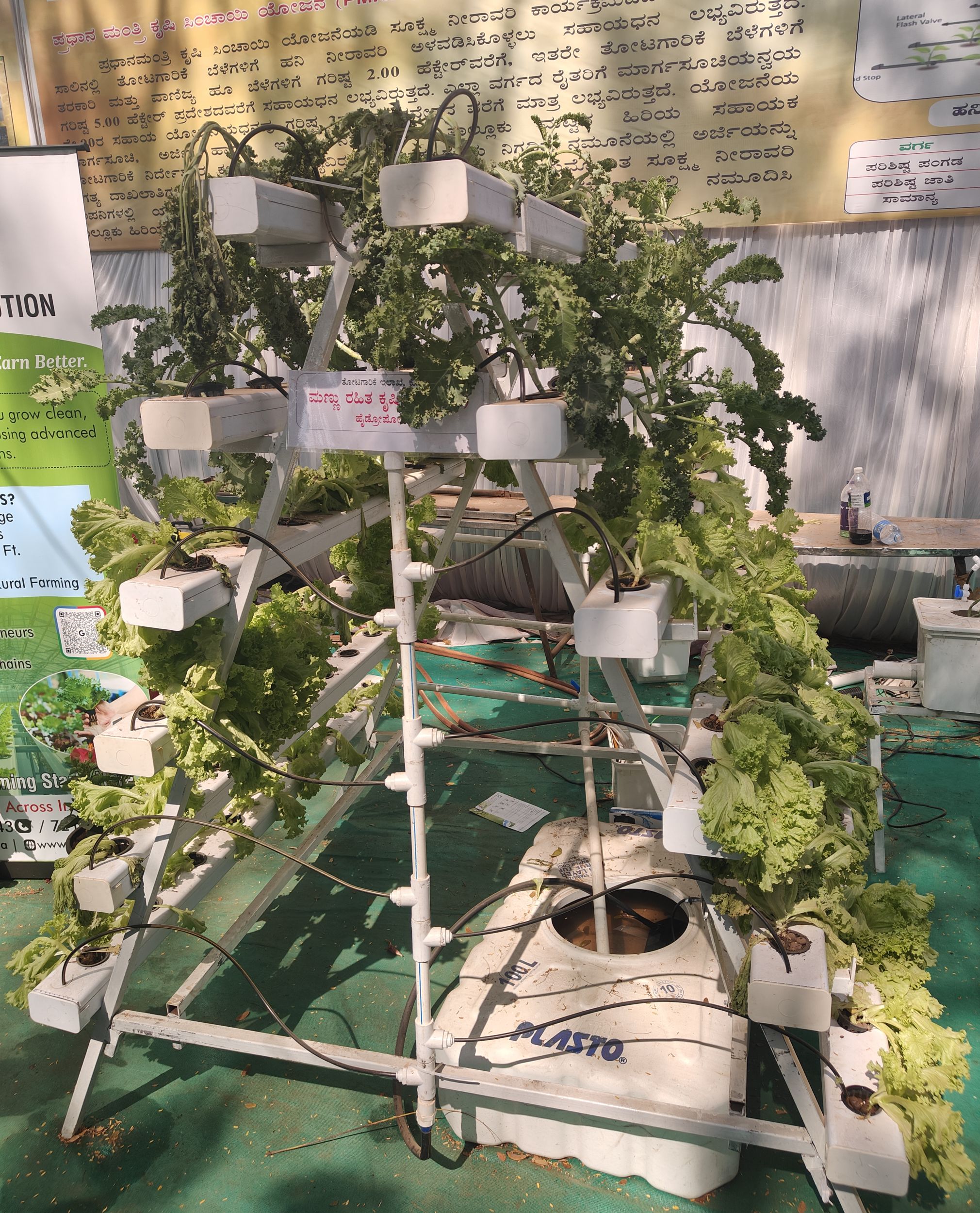 ಜಲ ಕೃಷಿಯ ಪ್ರಾತ್ಯಕ್ಷಿಕೆಯ ನೋಟ