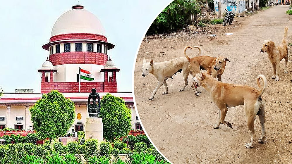 ನಾಯಿಗಳ ಮನಸ್ಸನ್ನು ಯಾರೂ ಅರ್ಥಮಾಡಿಕೊಳ್ಳಲಾರರು: ಸುಪ್ರೀಂ ಕೋರ್ಟ್