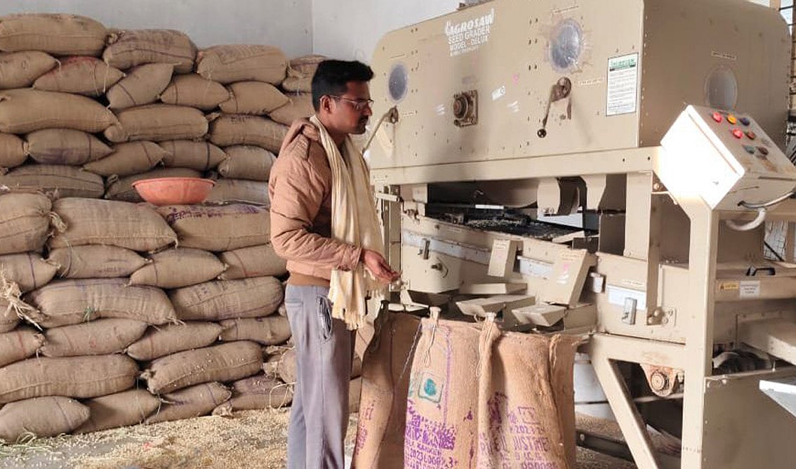 ಕೃಷಿ–ಖುಷಿ: ಬೀಜೋತ್ಪಾದನೆಯಲ್ಲಿ ಆದಾಯ ಕಂಡ ಮುಂಡರಗಿಯ ರೈತ