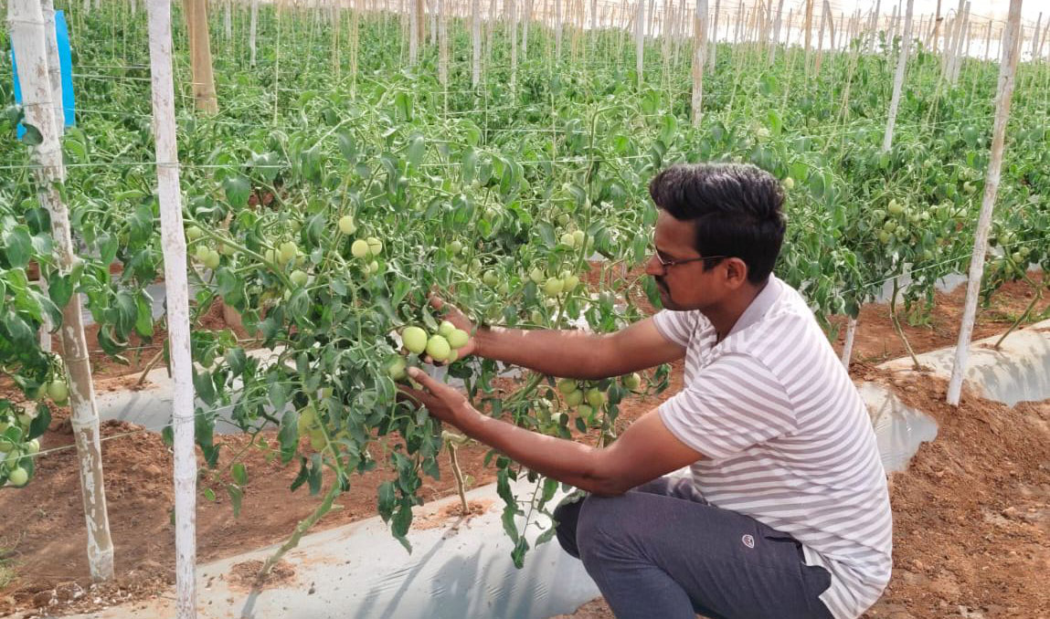 ಕೃಷಿ ಕಾಯಕದಲ್ಲಿ ತೊಡಗಿರುವ ಮುಂಡರಗಿ ತಾಲ್ಲೂಕಿನ ಕೊರ್ಲಹಳ್ಳಿ ಗ್ರಾಮದ ಯುವ ರೈತ ಚಂದ್ರಶೇಖರ ಮಜ್ಜಿಗಿ