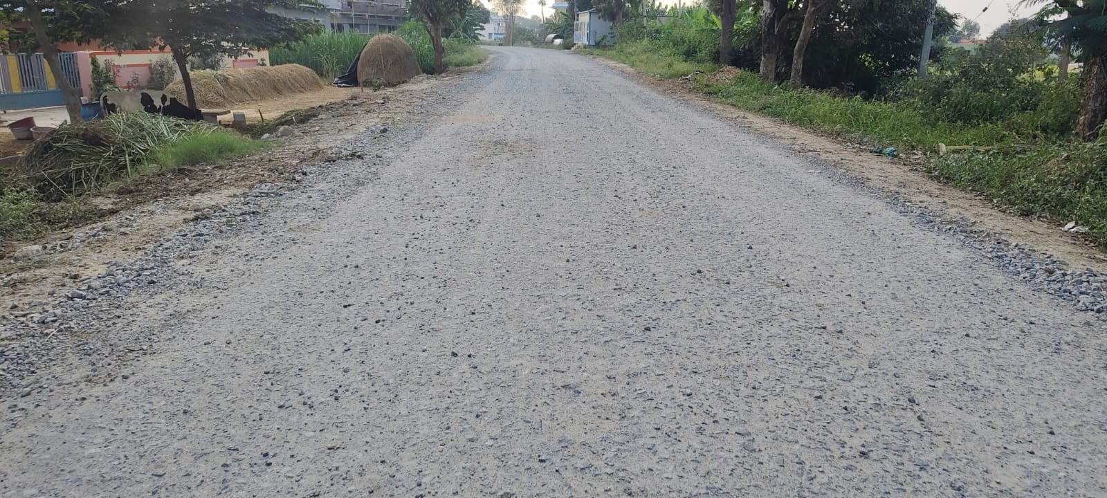 ಬಂಗಾರಪೇಟೆ ತಾಲ್ಲೂಕಿನ ಕೆಜಿಎಫ್ ನಿಂದ ಕಾಮಸಮುದ್ರ ಮಾರ್ಗದ ರಸ್ತೆ ಅಭಿವೃದ್ದಿಗೆ ಲಕ್ಕೇನಹಳ್ಳಿ ಬಳಿ ರಸ್ತೆಯನ್ನು ಅಗೆದು ತಿಂಗಳುಗಳೇ ಕಳೆದರೂ ಕೇವಲ ಜಲ್ಲಿ ಸುರಿದು ಹಾಗೆಯೇ ಬಿಡಲಾಗಿದೆ.