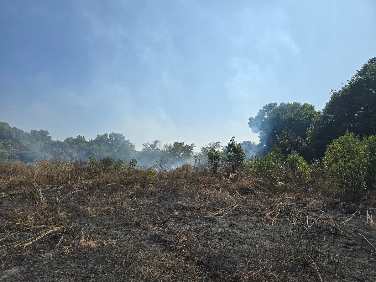 ಬ್ರಹ್ಮಾವರ | ಬೆಂಕಿ ಅವಘಡ: ಬೆಳೆ ನಾಶ
