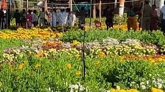 ಮೈಸೂರು ವಿಭಾಗ ಮಟ್ಟದ ಕೃಷಿ ಮೇಳ- ಸಸ್ಯ ಜಾತ್ರೆ