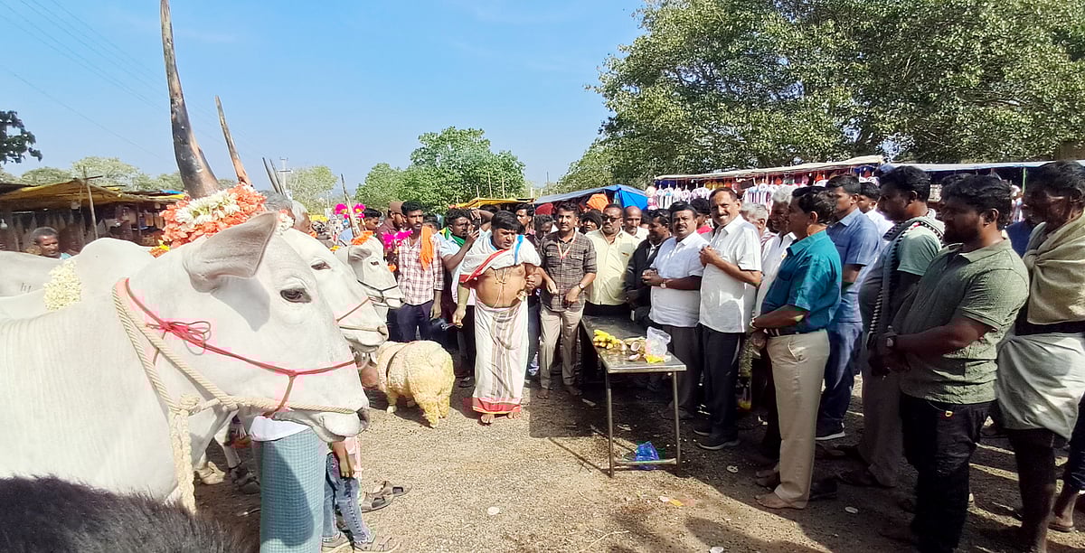 ದೇಸಿ ತಳಿ ಅಭಿವೃದ್ಧಿಗೆ ಒತ್ತು ನೀಡಿ: ಶಾಸಕ ಬಾಲಕೃಷ್ಣ