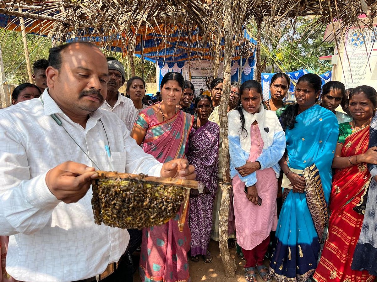 ಎಚ್.ಡಿ.ಕೋಟೆ: 500 ಜೇನು ಪೆಟ್ಟಿಗೆ, ಉಪಕರಣ ವಿತರಣೆ