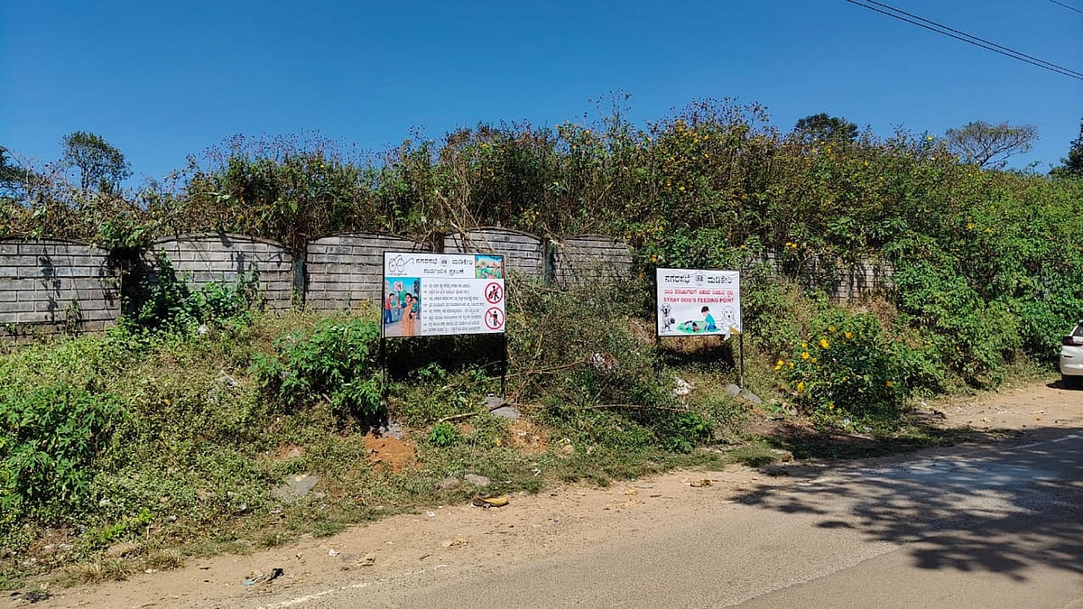 ಮಡಿಕೇರಿ: 125 ಬೀದಿನಾಯಿಗಳ ಸ್ಥಳಾಂತರಕ್ಕೆ ನಿರ್ಧಾರ