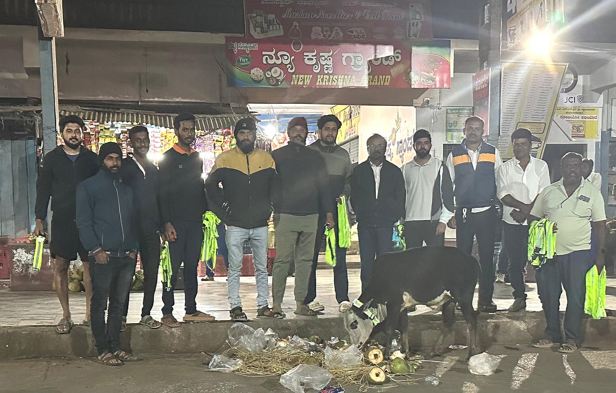 ಬೀಡಾಡಿ ದನಗಳಿಗೆ ರೇಡಿಯಂ ಕಾಲರ್: ಬಿಜೆಪಿ ಯುವ ಮೋರ್ಚಾ ನೇತೃತ್ವದಲ್ಲಿ ಕಾರ್ಯಕ್ರಮ