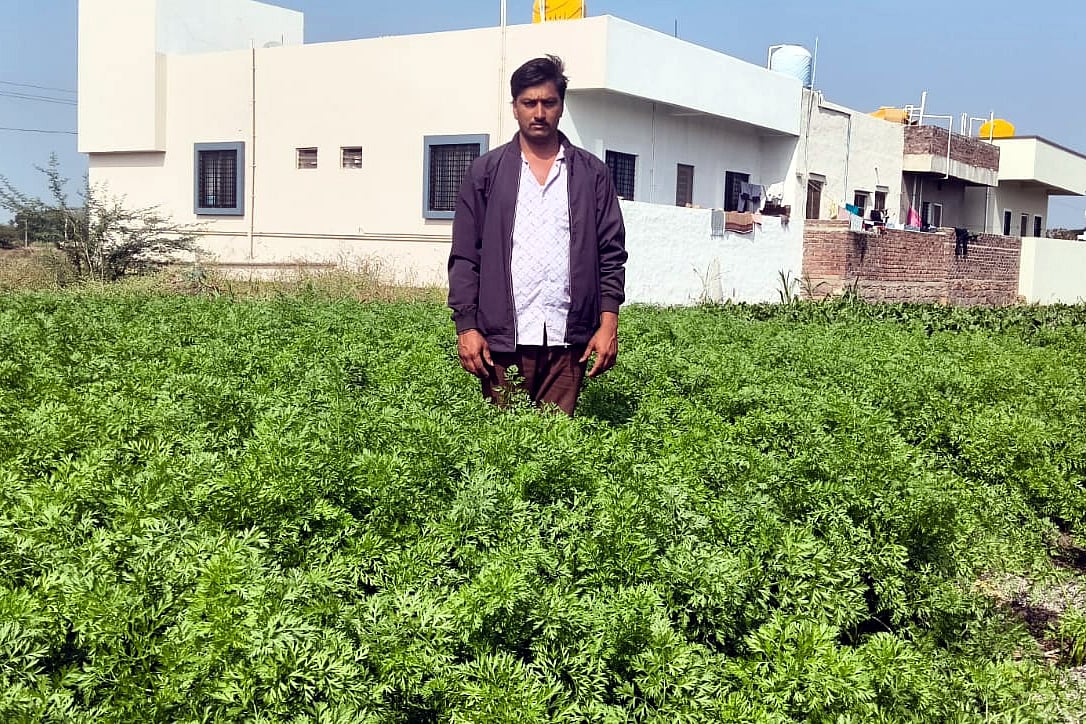 ನಿತ್ಯ ಆದಾಯ ತರುವ ತರಕಾರಿ: ಎರಡೂವರೆ ಎಕರೆಯಲ್ಲಿ ಹತ್ತಾರು ಬೆಳೆ ಬೆಳೆದ ರೈತ