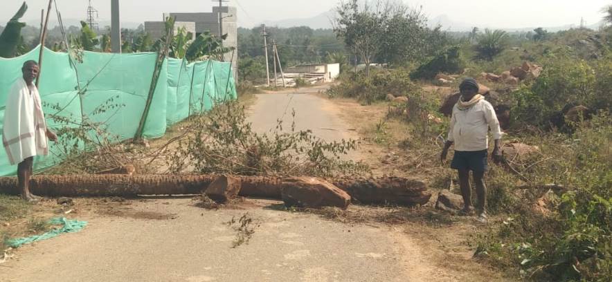 ಗ್ರಾಮಕ್ಕೆ ಪ್ರವೇಶ ಮಾಡದಂತೆ ಮುಳ್ಳುತಂತಿ ಬೇಲಿ ಜತೆ ಮರದ ದಿಮ್ಮಿಗಳನ್ನಿಟಿರುವುದು