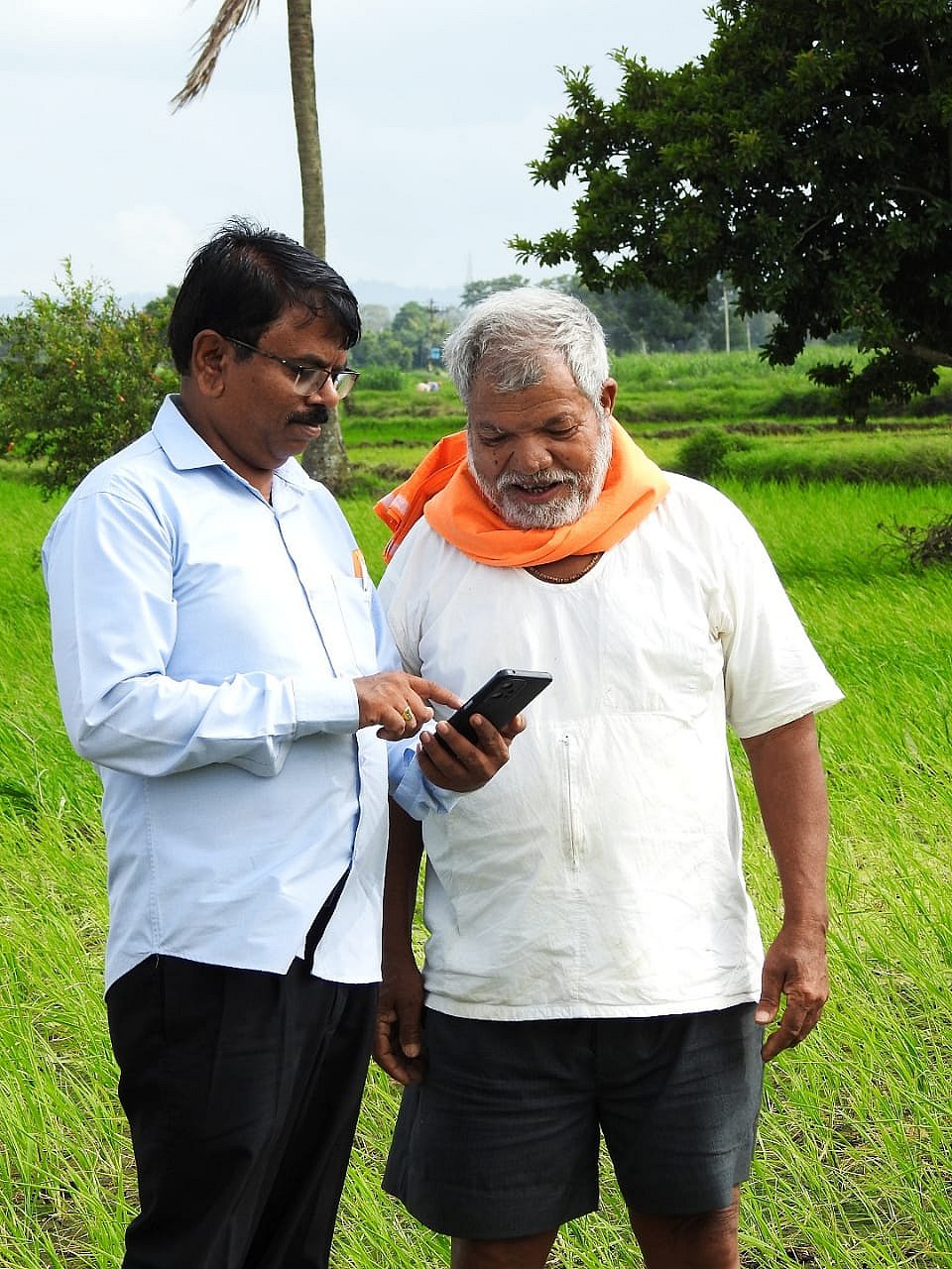 ಬೆಳೆ ಸಮೀಕ್ಷೆಗೆ ಆರಂಭದಲ್ಲೇ ಉತ್ತಮ ಸ್ಪಂದನೆ