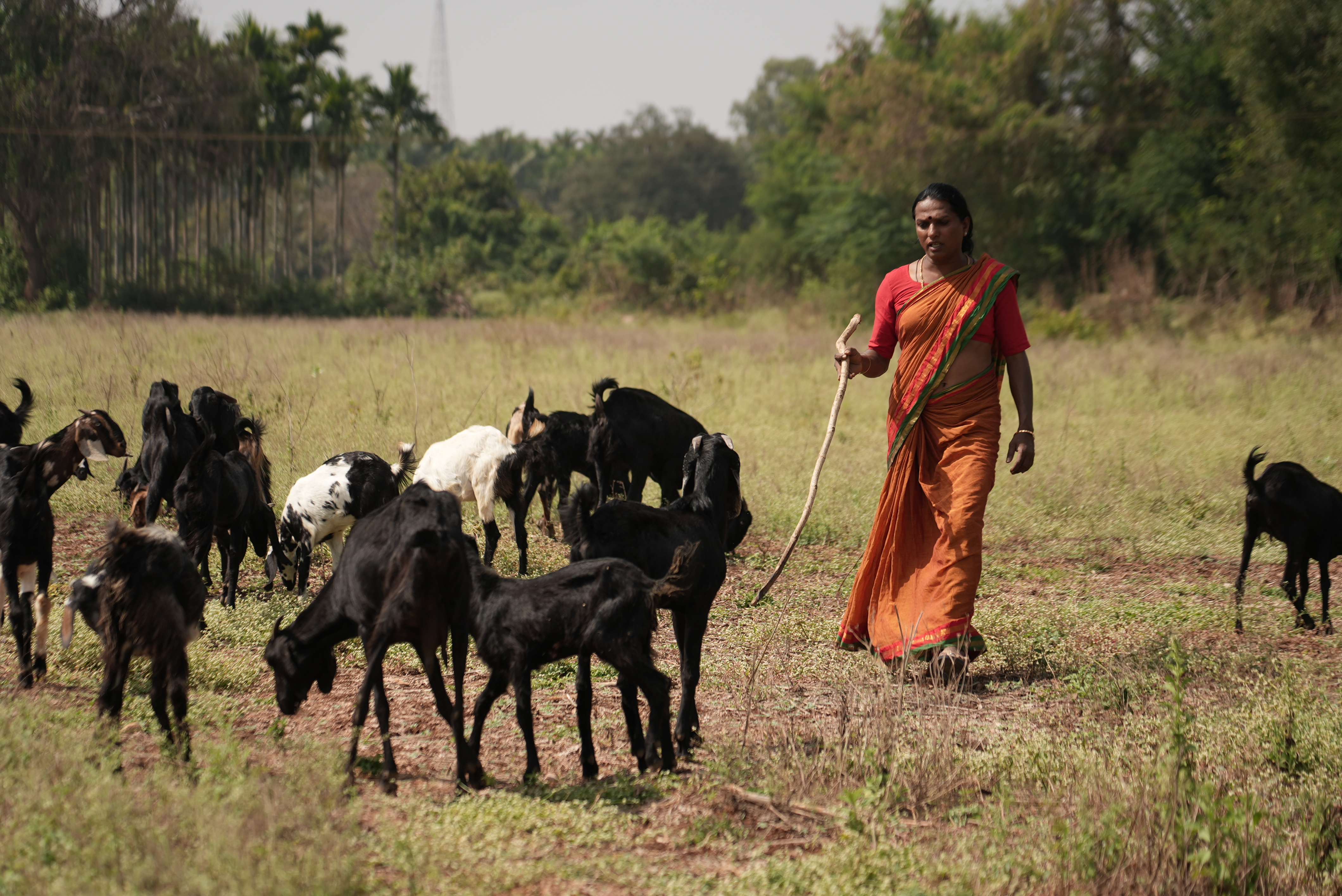 ಅರುಂಧತಿ ಮಂಡ್ಯ