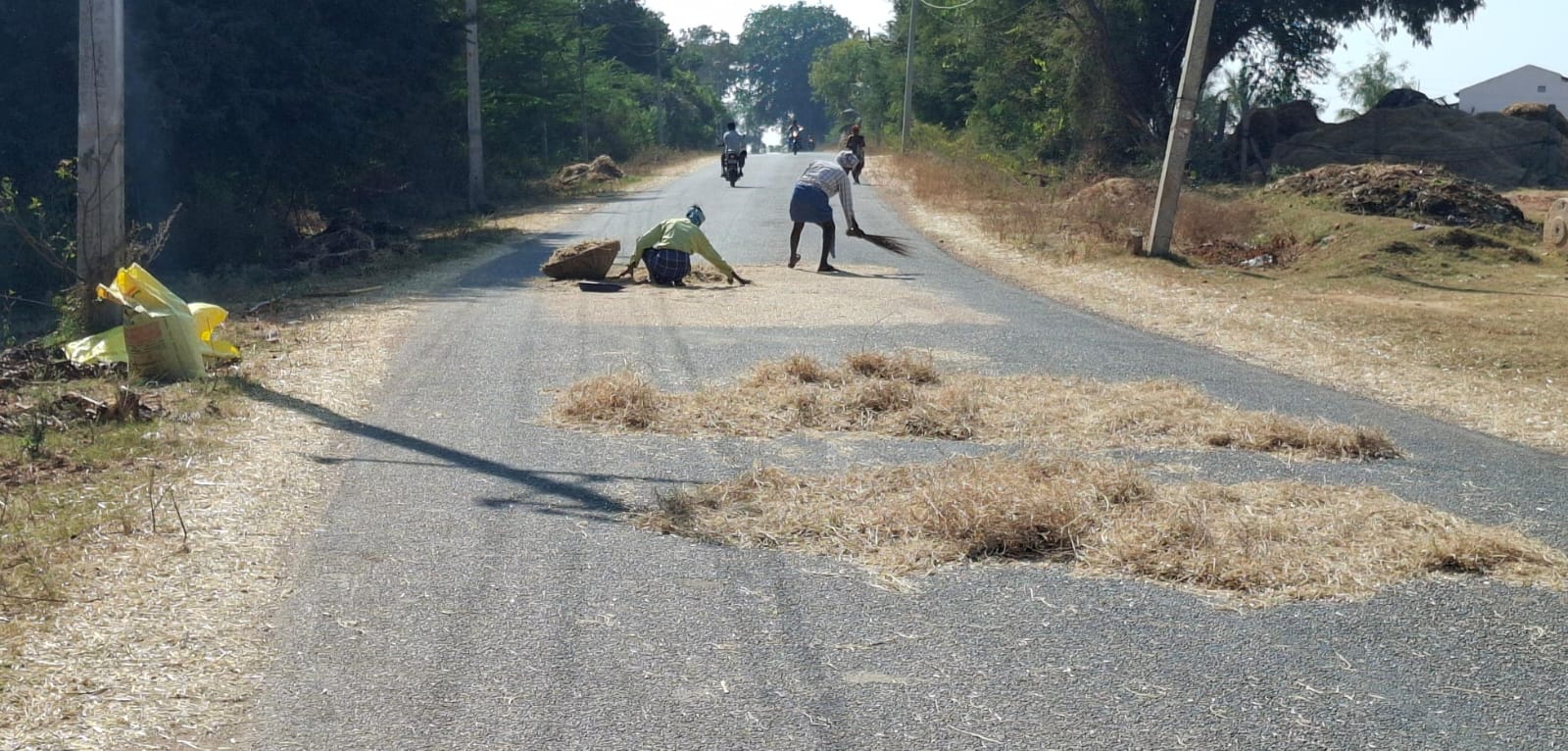 ಹೊಸದುರ್ಗದ ಮತ್ತೋಡಿಗೆ ಹೋಗುವ ಮಾರ್ಗದಲ್ಲಿ ರಸ್ತೆಯಲ್ಲಿ ಒಕ್ಕಣೆ ಮಾಡುತ್ತಿರುವುದು