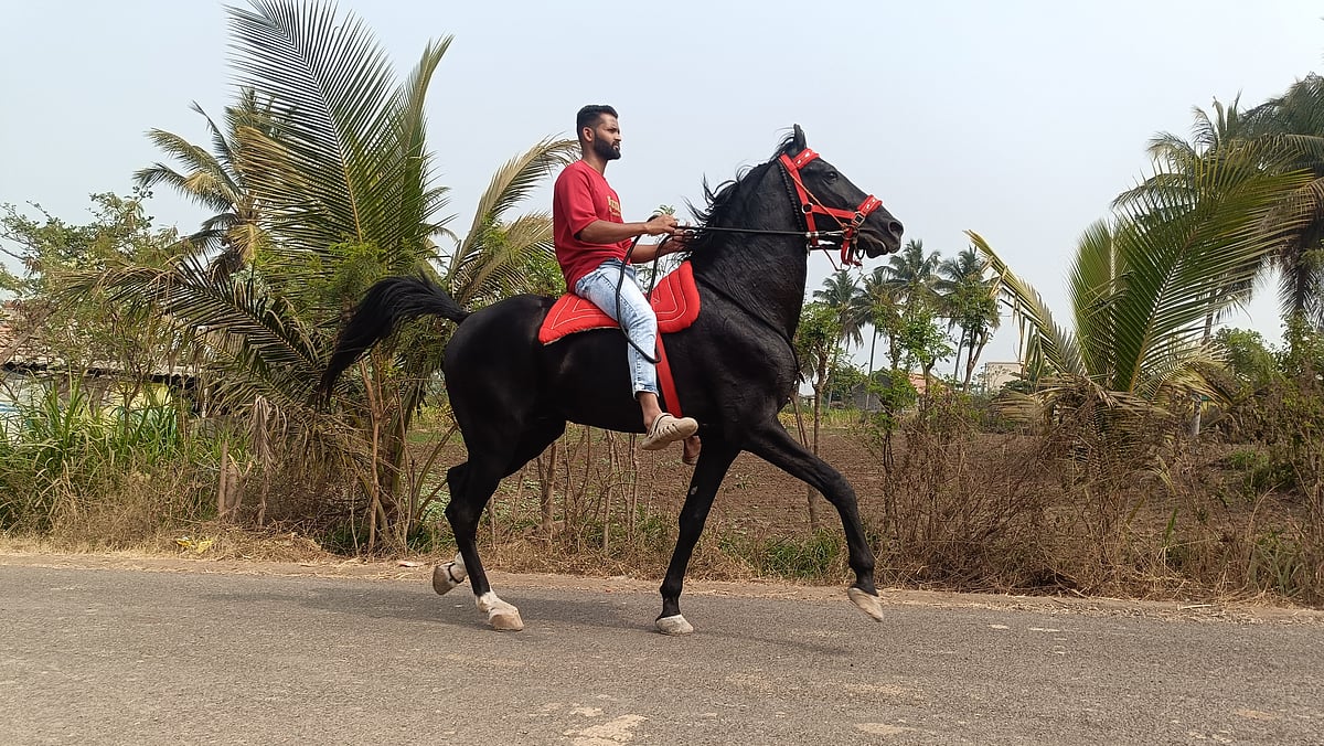 ವರ್ಷಕ್ಕೊಮ್ಮೆ ರಾಯಬಾಗ ಕುದುರೆ ಸಂತೆ
