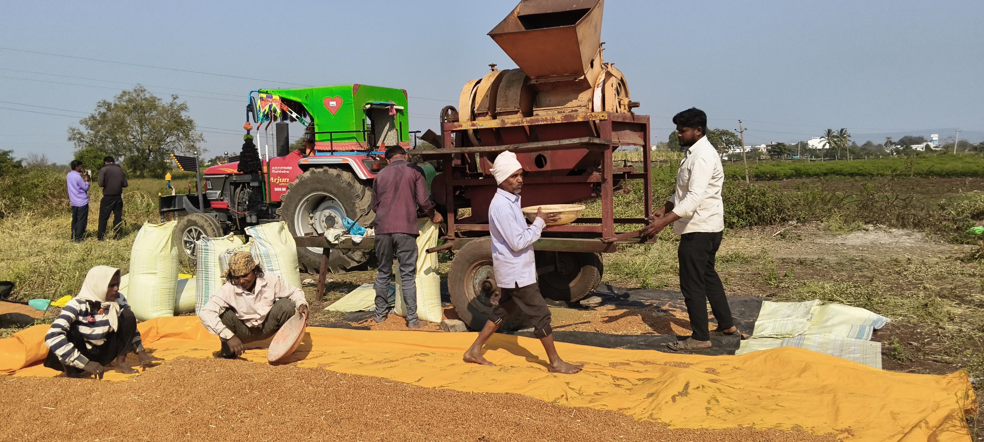 ಚಿಂಚೋಳಿ ಕಲಬುರಗಿ ರಸ್ತೆಯ ಅಣವಾರದ ಕ್ರಾಸ ಬಳಿಯ ಹೊಲದಲ್ಲಿ ತೊಗರಿ ಬೆಳೆಯ ರಾಶಿಯಲ್ಲಿ ತೊಡಗಿರುವುದು