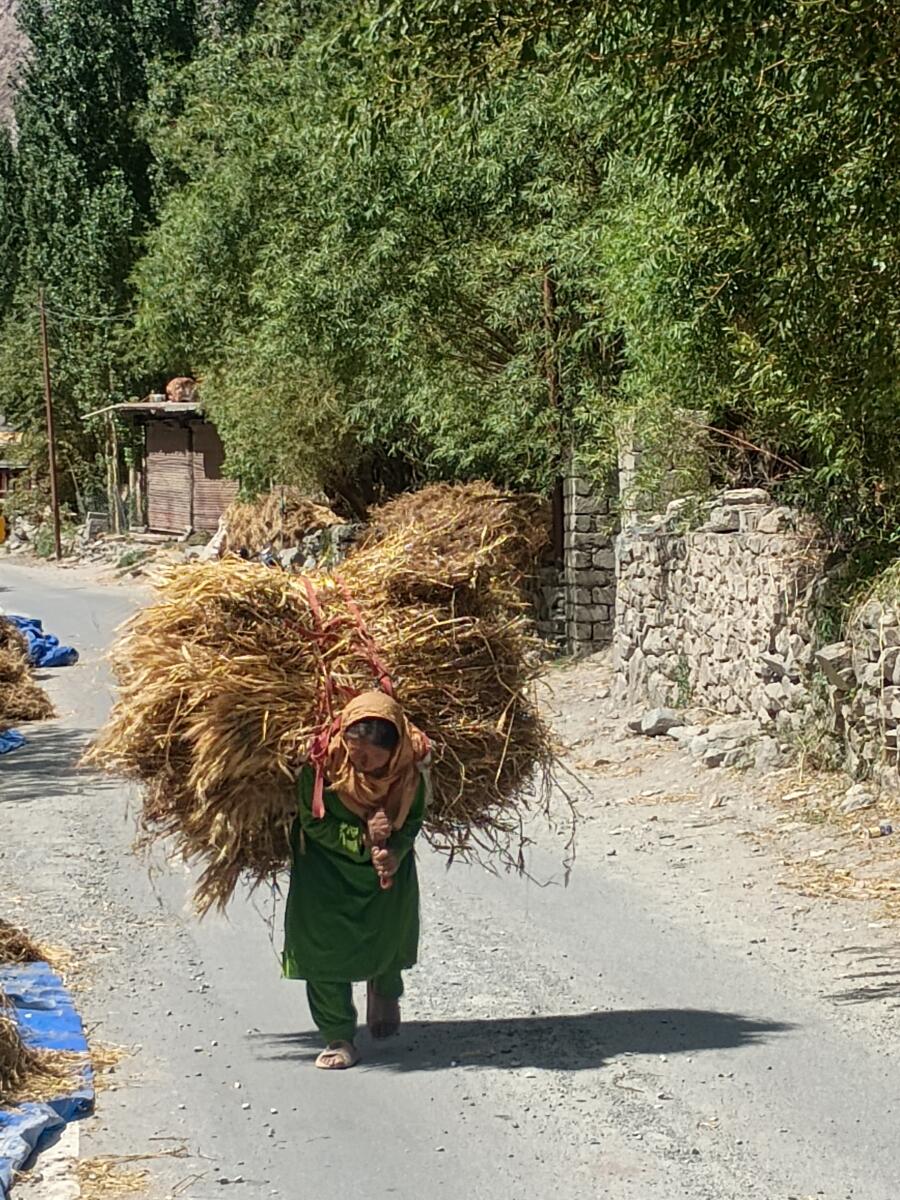 ಹೊರೆಹೊತ್ತ ಮಹಿಳೆ