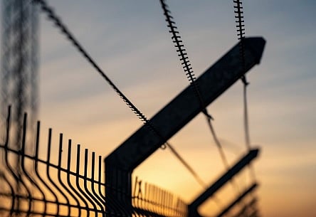 ಆಗ್ರಾದಿಂದ ಎಂಟು ಮಕ್ಕಳು ಸೇರಿ 38 ಬಾಂಗ್ಲಾ ಪ್ರಜೆಗಳ ಗಡಿಪಾರು